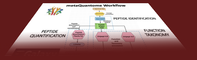 metaQuantome