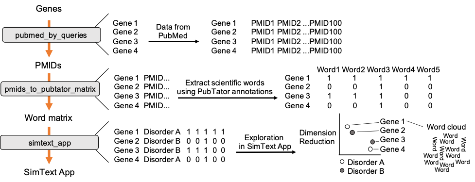 Schematic presentation of the workflow