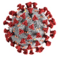 RNA
