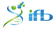 Développement et intégration d’applications sous Galaxy