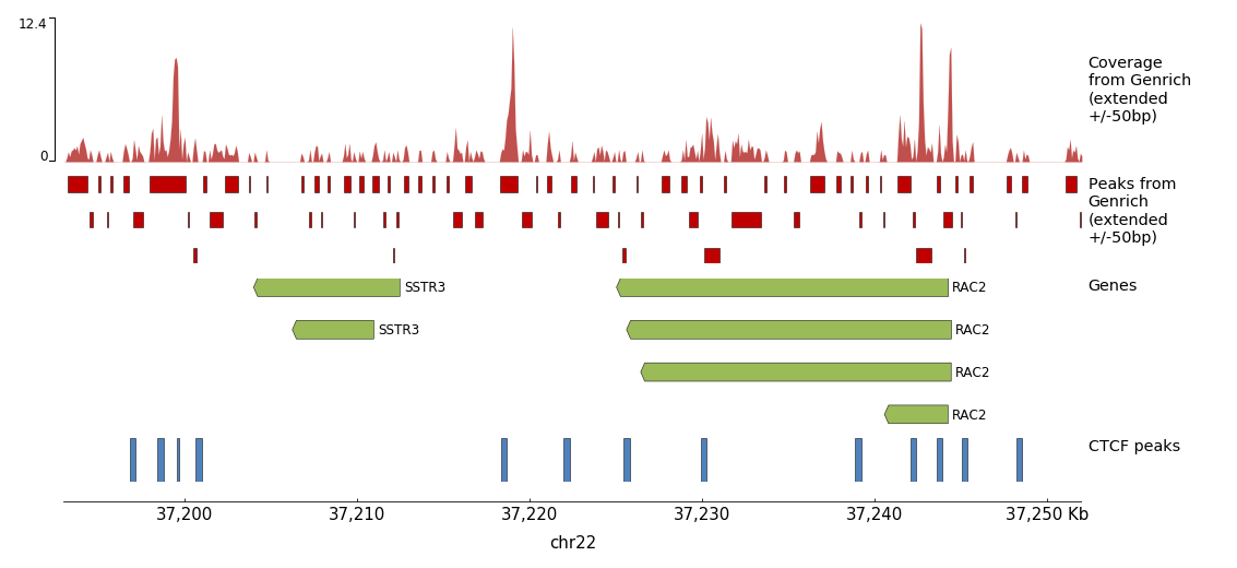pyGenomeTrack output