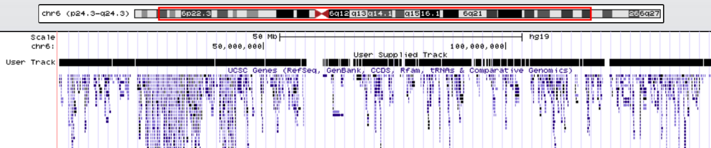 Visualizing results at UCSC