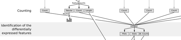 Slice of overall workflow