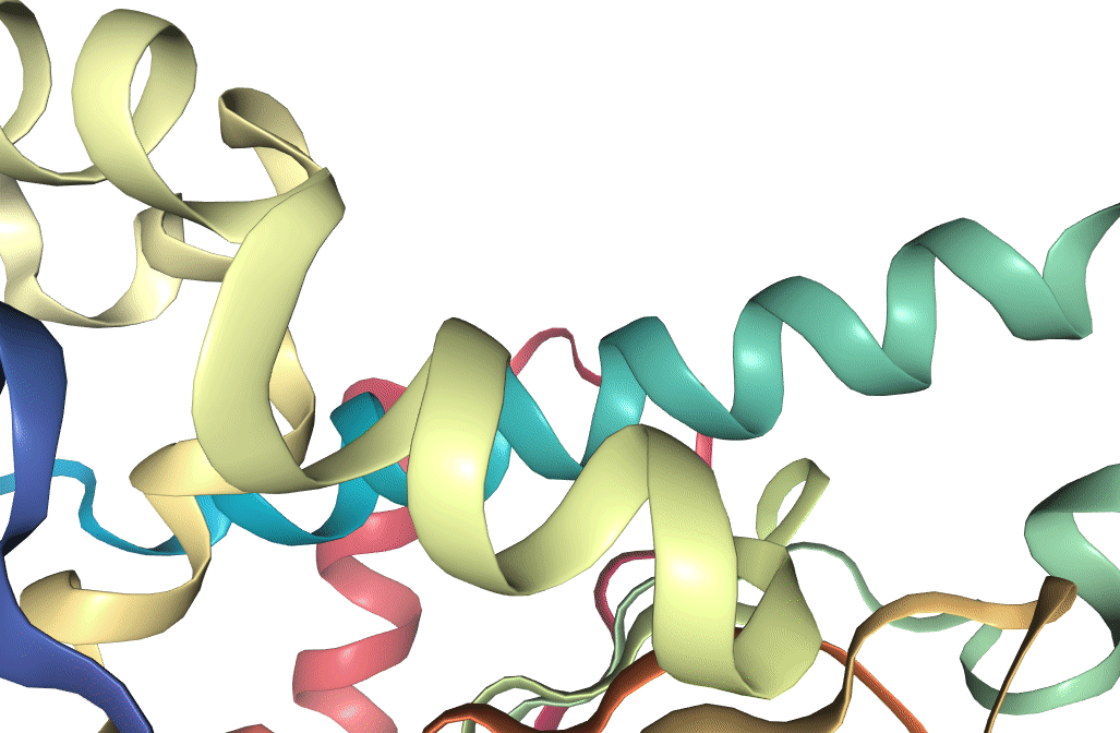 Active site