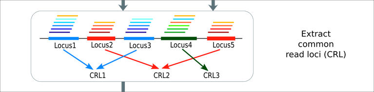RNA-RNA Interactome